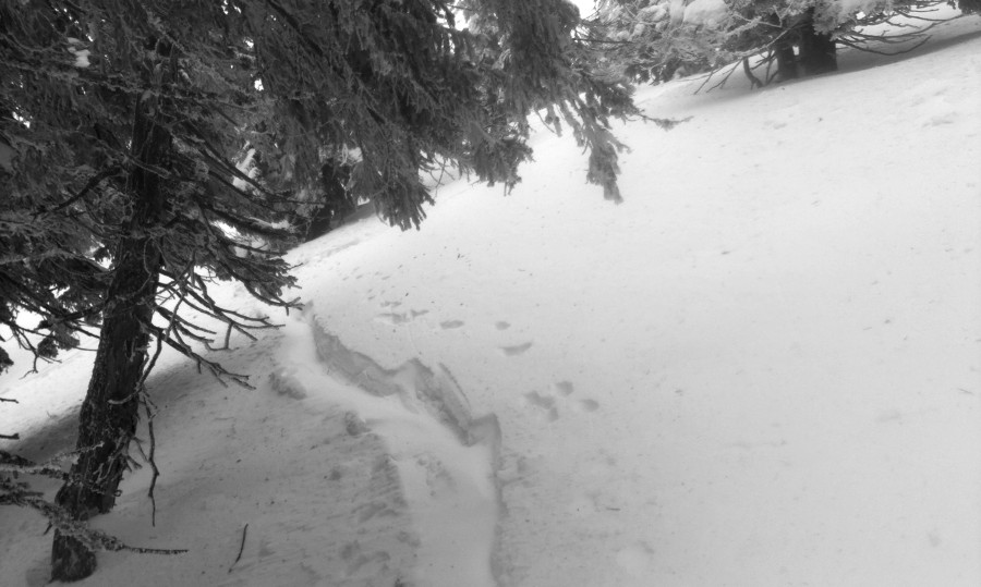 Vítr a naše stopa. Pomalu mizí