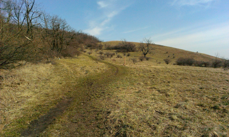 Dobíhám na Děvín