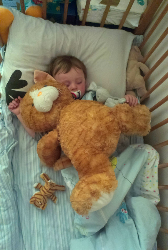 Jestlipak bude takhle pěkně usínat i dvě stě kiláků od mámy