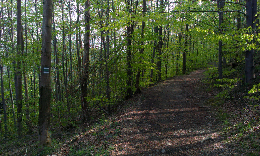 První výlet. Vycházíme z Kozince