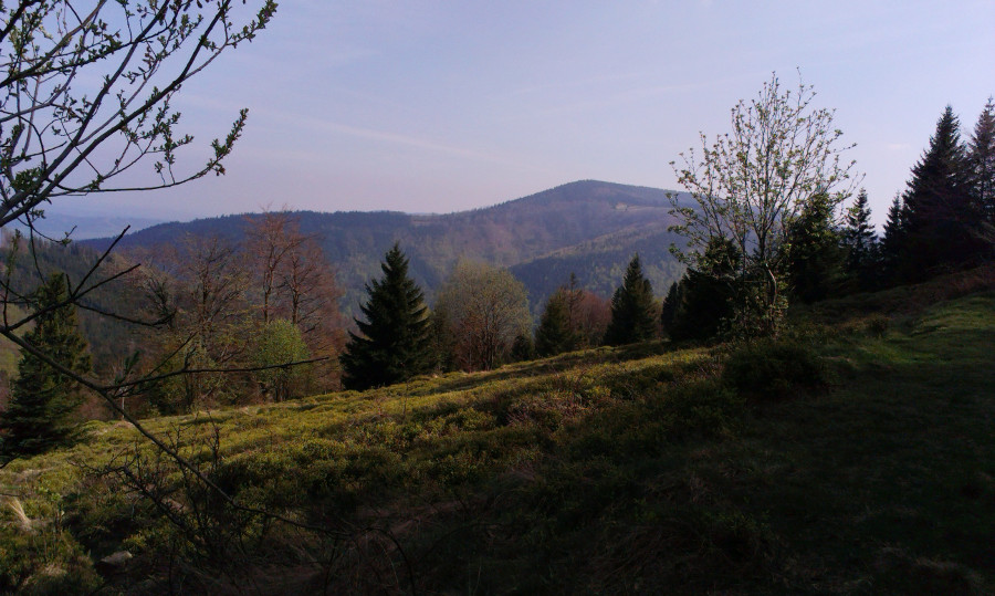 Výhled na Kozubovou.