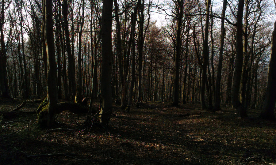 Sestupujeme po hřebeni z vrcholu Ostrého