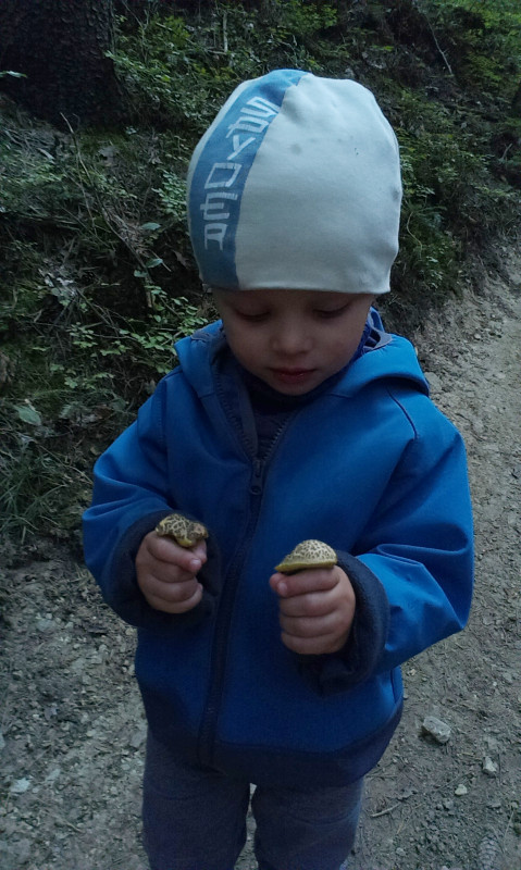 Konečně dvě jedlé