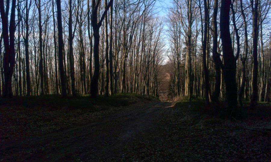Na Příslopu (946m) nad sjezdovkou