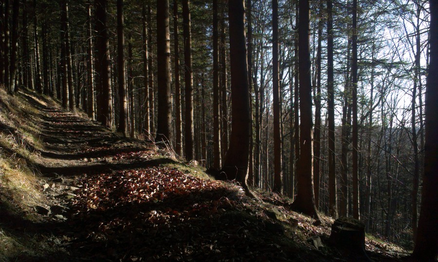 Krása na svazích Ropice