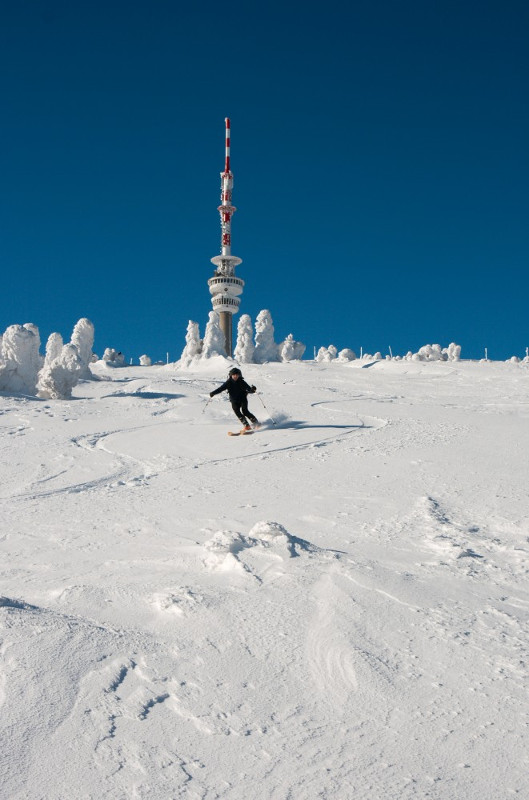 A jedém (fotil David)