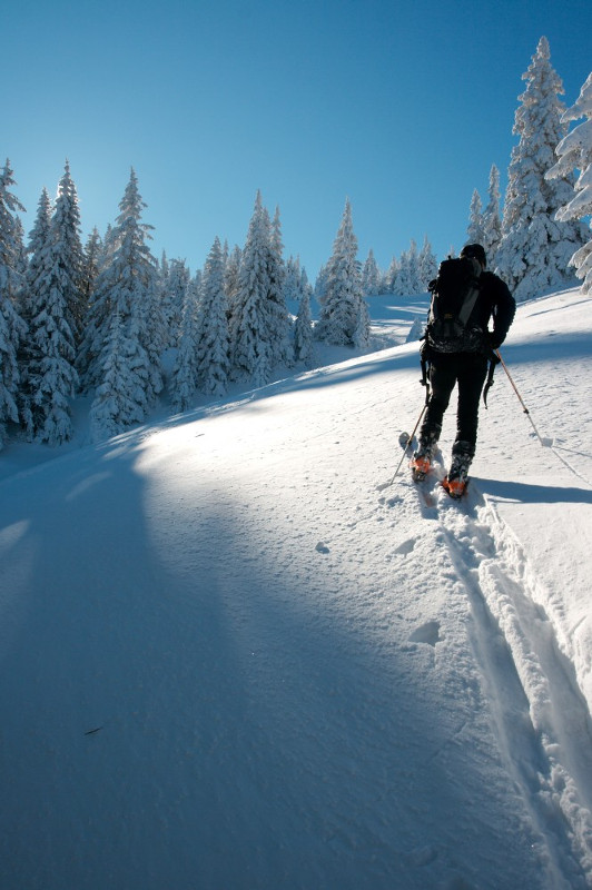 A nahoru (fotil David)