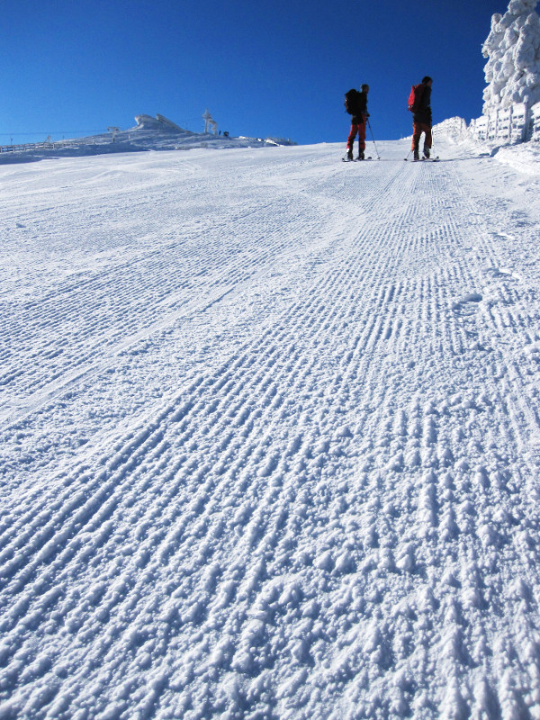 Neodolali jsme - hned ráno jsme vyběhli k Petrákům a  první sjezd byl po dokonalých varháncích