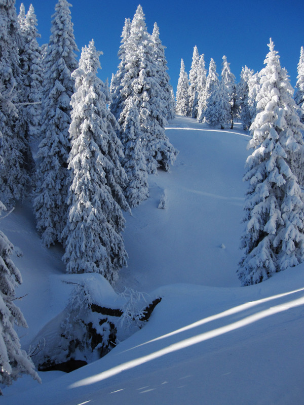 Údolím Bílé Opavy stoupáme na Praděd