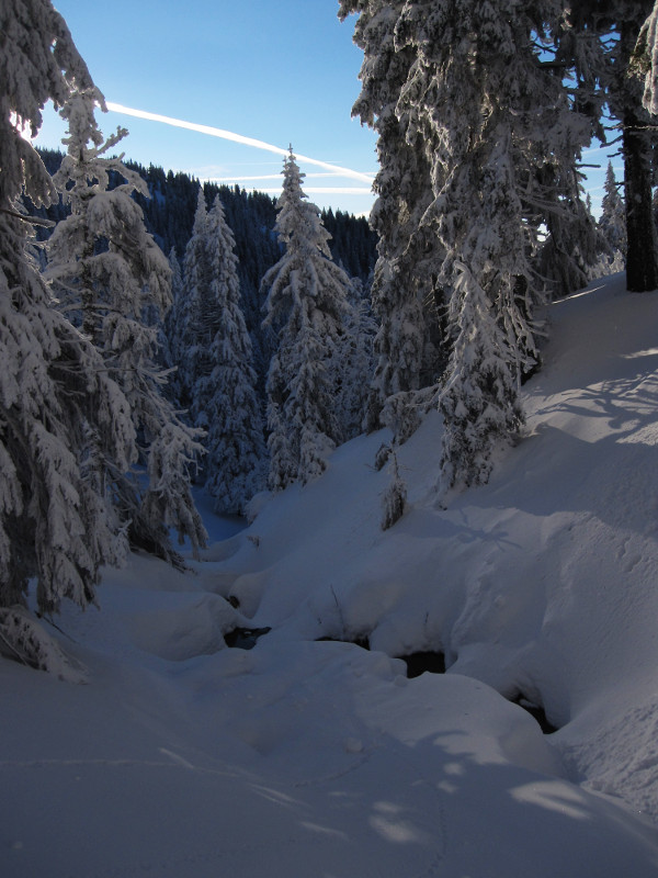 Ve Sviním žlebu nad "loučkou"