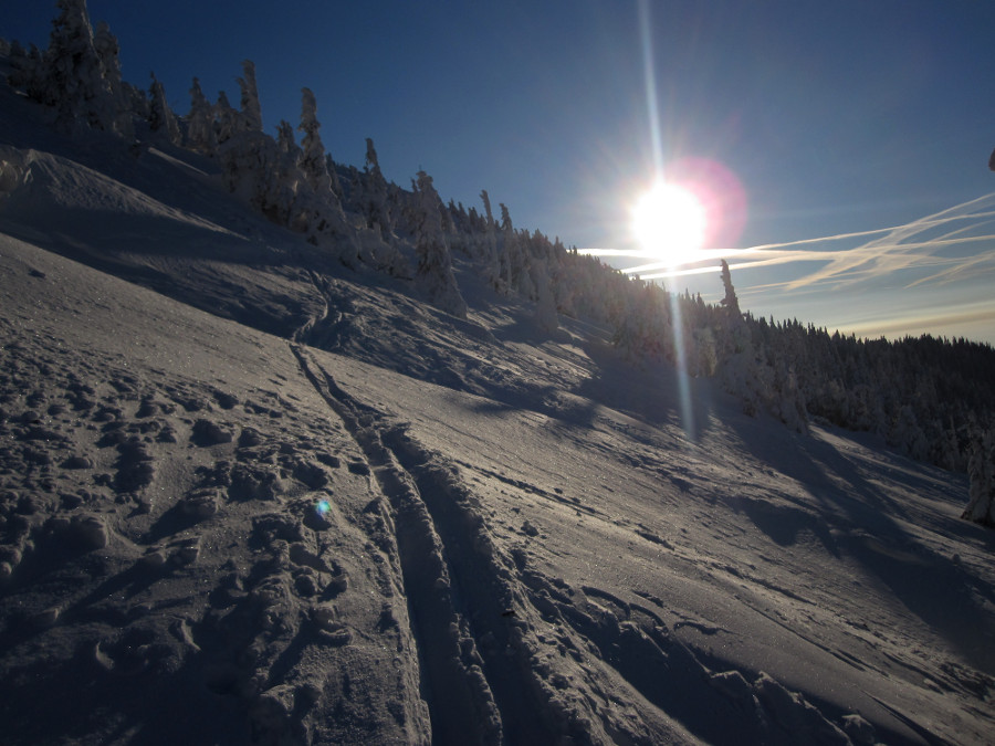Na tohle jsem se těšil více než rok