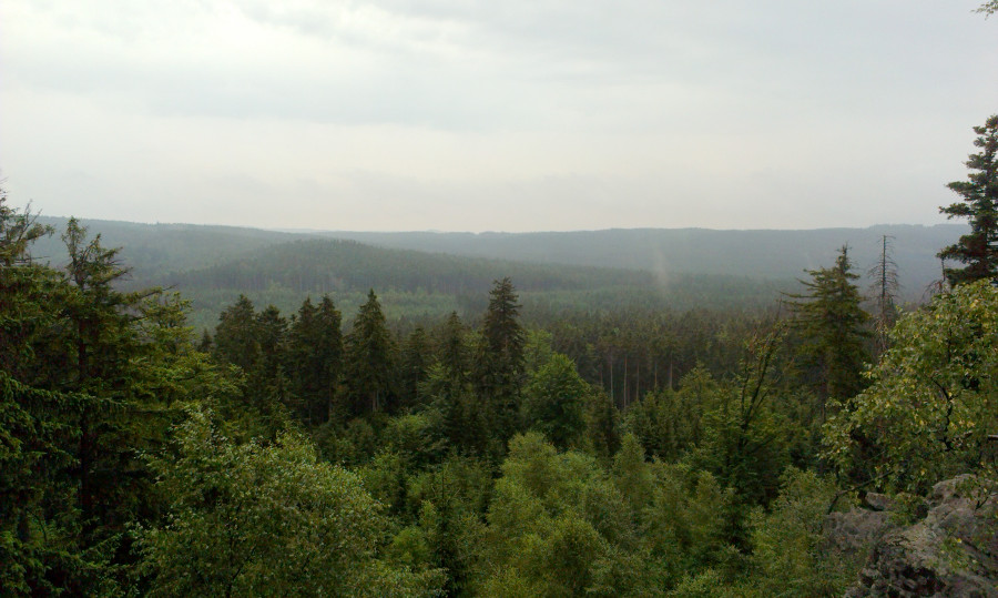 Výhled z nejvyššího bodu Žďárských vrchů