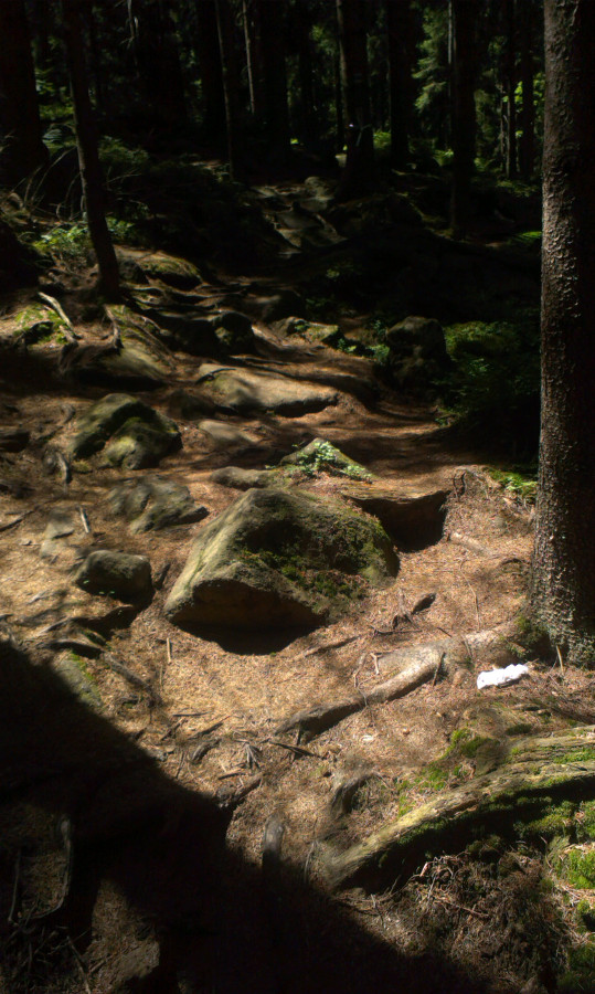 ... a zase na Devět skal ...