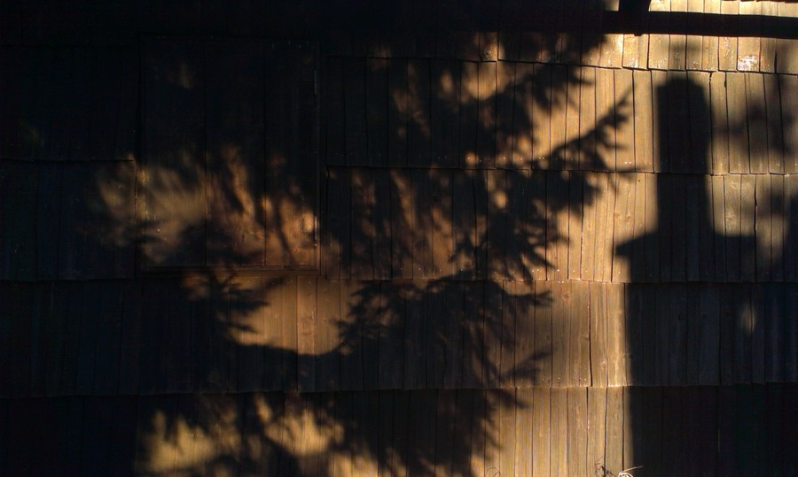 ... celá ze dřeva ...