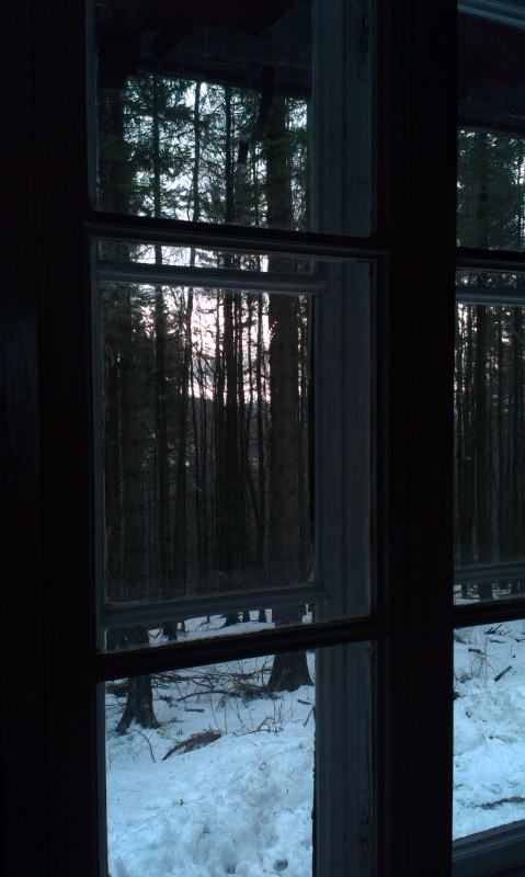 Výhled z okna - ti lesáci si ale žijou