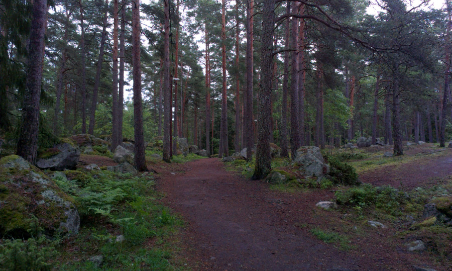 Jeden z mnoha běžeckých okruhů - v noci tady svítí světla