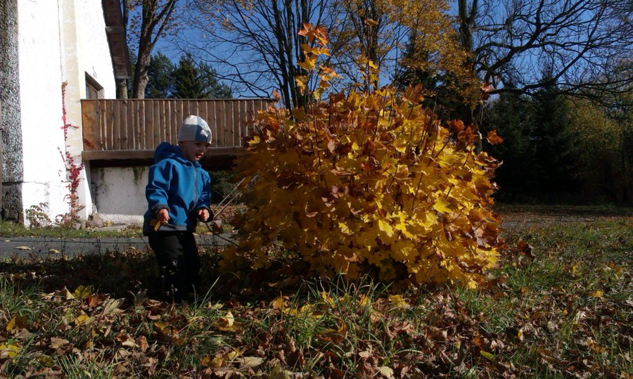 První zastávka hned po deseti metrech