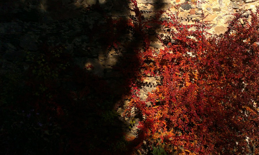 Vysočinské chaloupky II