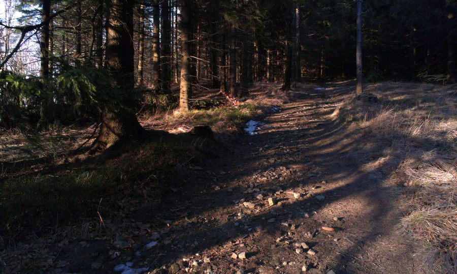 Našlo se i pár metrů běžeckého povrchu