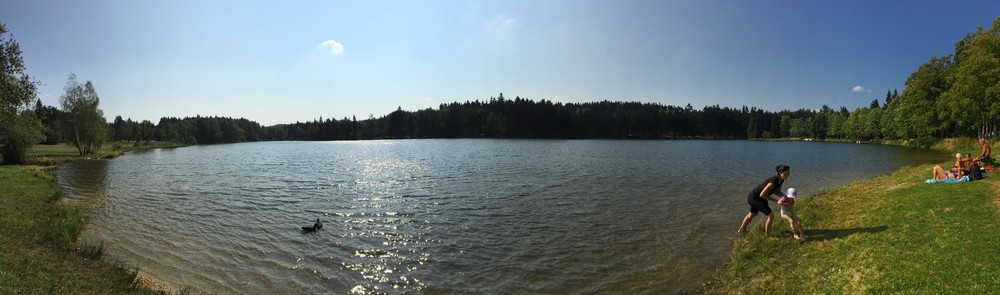 Parádní koupání ve Zvůli