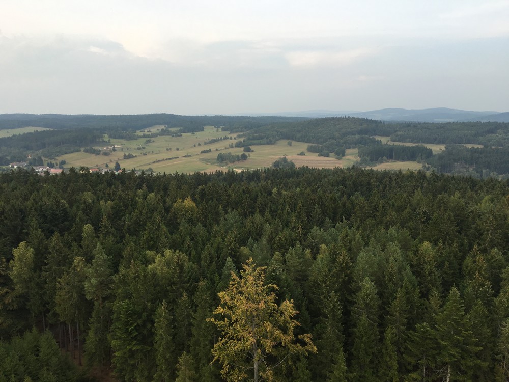 Tam po těch loukách jsme jeli