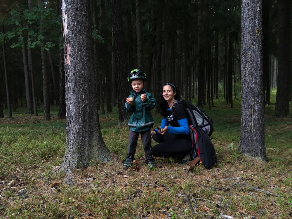 Městský les a krajina jako ve Skandinávii