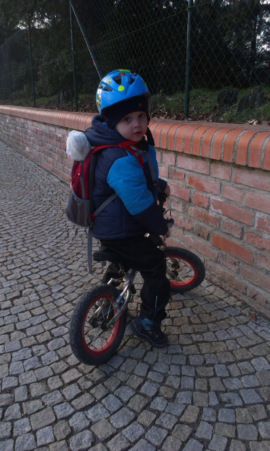 Zkontrolovat medvěda Cocolina