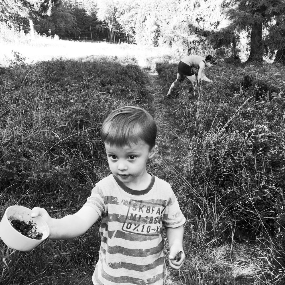 Mamka sbírá, Matýsek baští