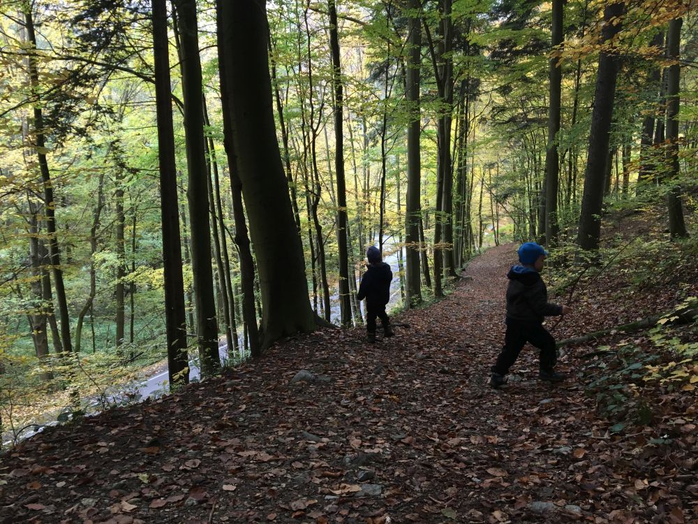 Cestou ke Kostelíku