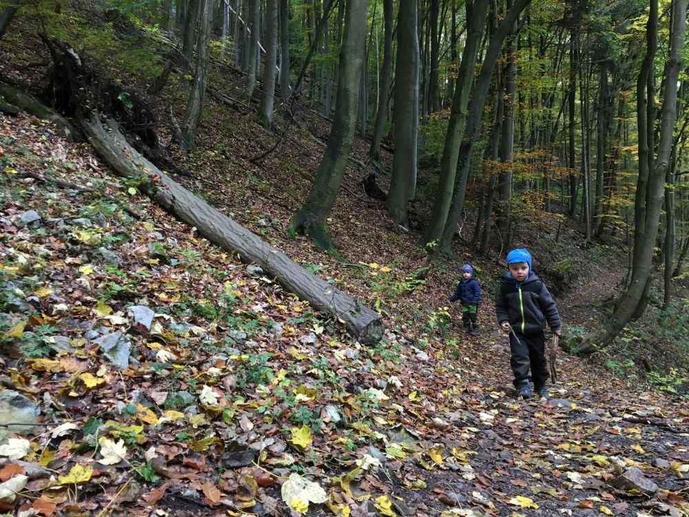 Šnečím tempem na Jáchymku