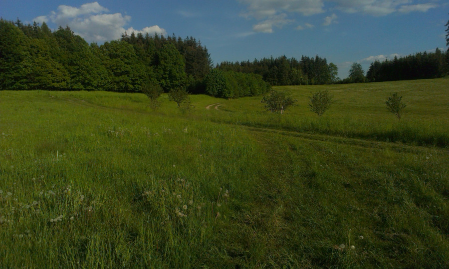 Poprvé v Ospělově