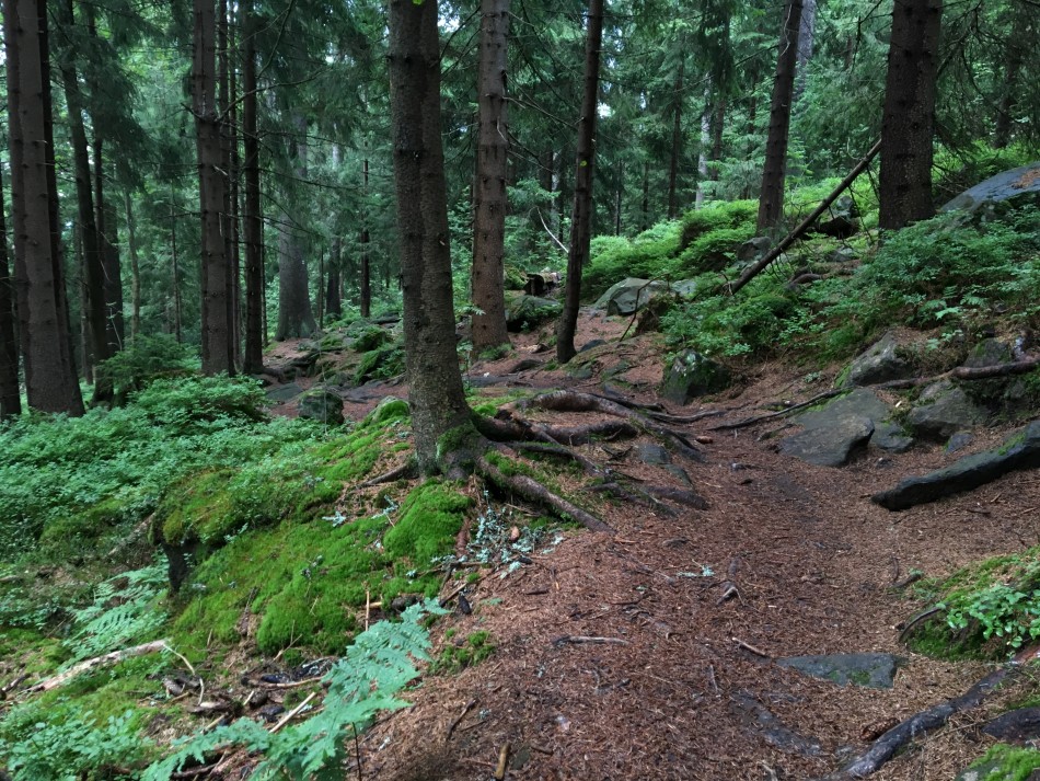 Z Výběhu na Devět skal