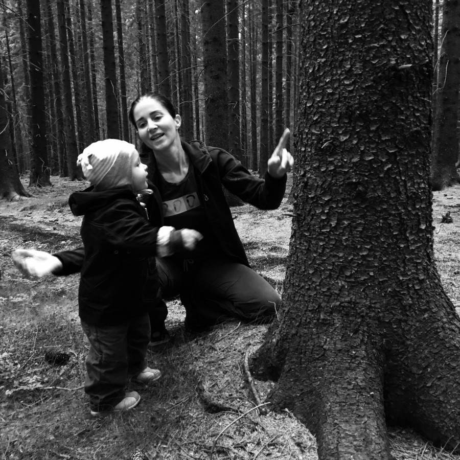 Konečně v pořádném lese