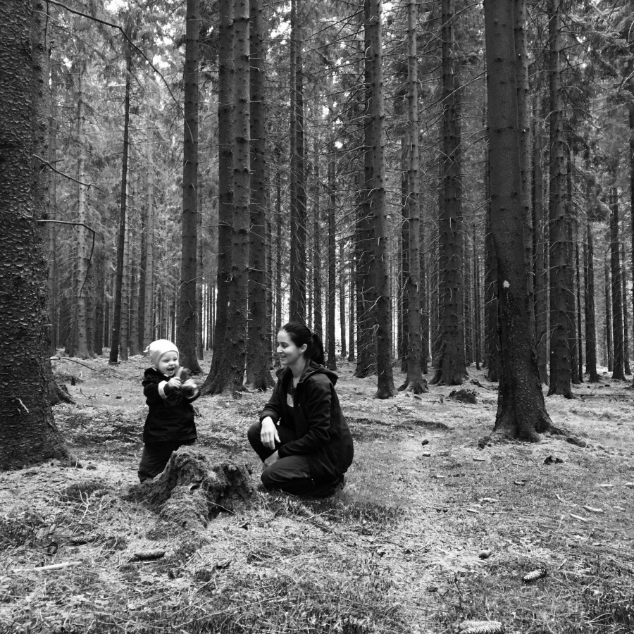 Házíme šišky do pařezu ...