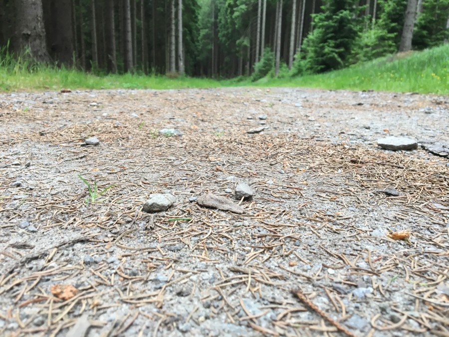 Běžím na Devět skal ...