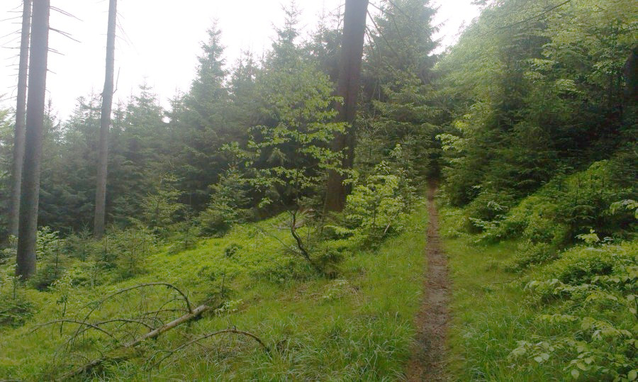 Hraniční hřeben - dříve tady vedla značka