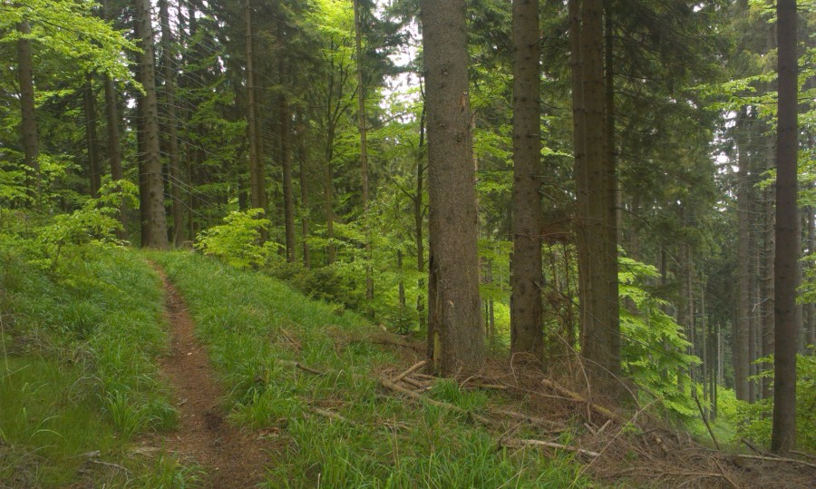 Hraniční hřeben - dříve tady vedla značka