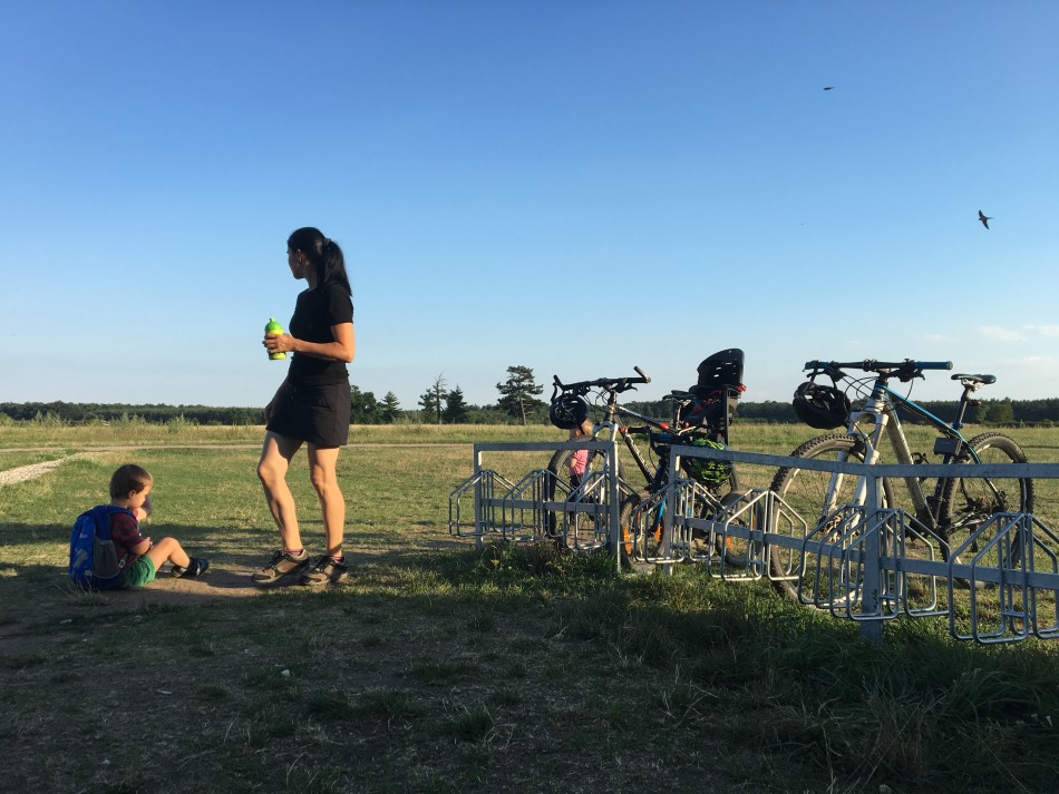 Dostali jsme limču, nanuk a zavřeli.