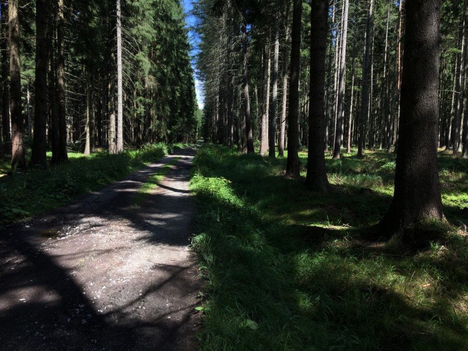 Výběh na Devět skal