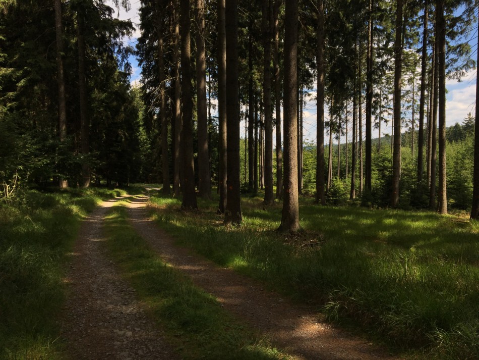 běžím kolem Bílé skály