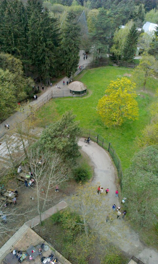 ... dole Maky s Áďou