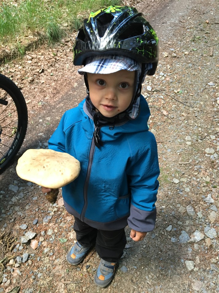 Sbíráme houby - a to všechny