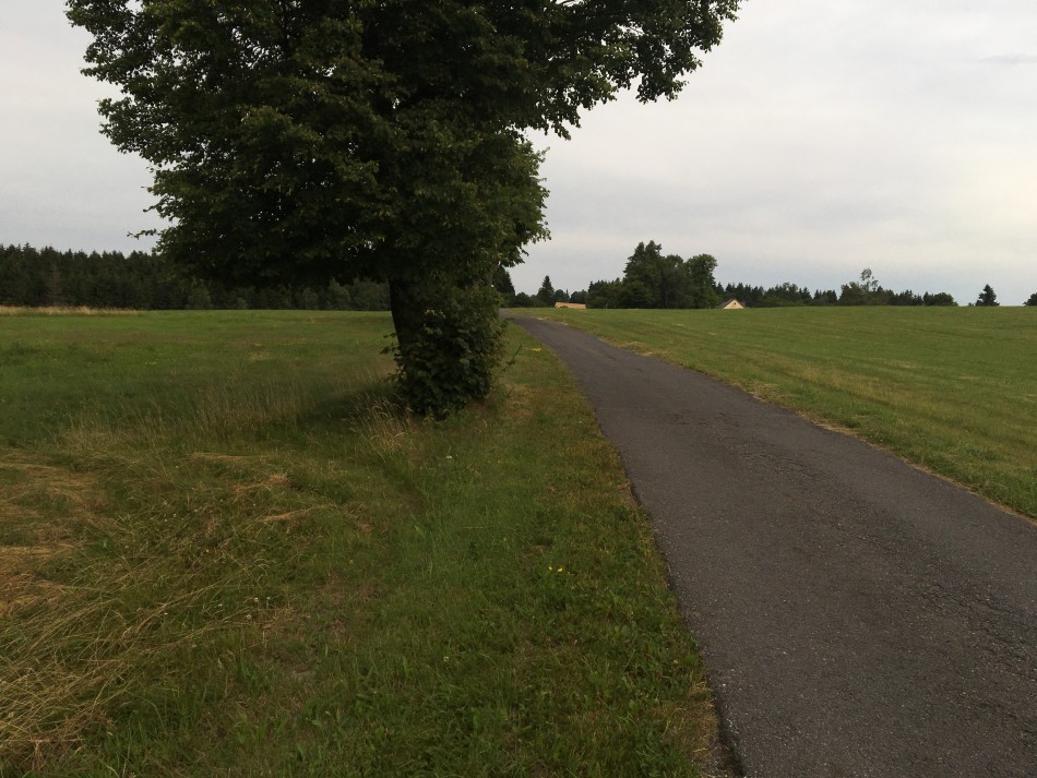 Po loukách až k zámku