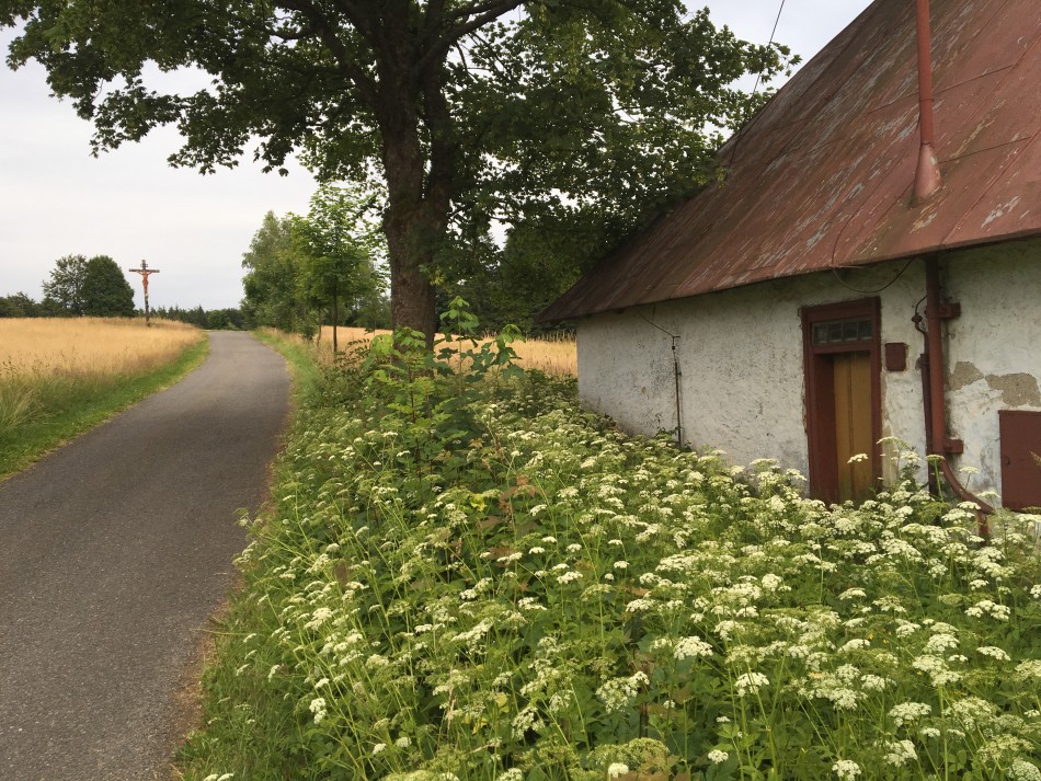 Kolem křížku nad Svratouchem