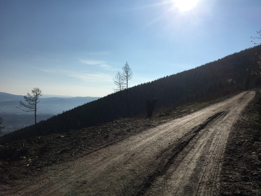 Běžím z Gut na Javorový