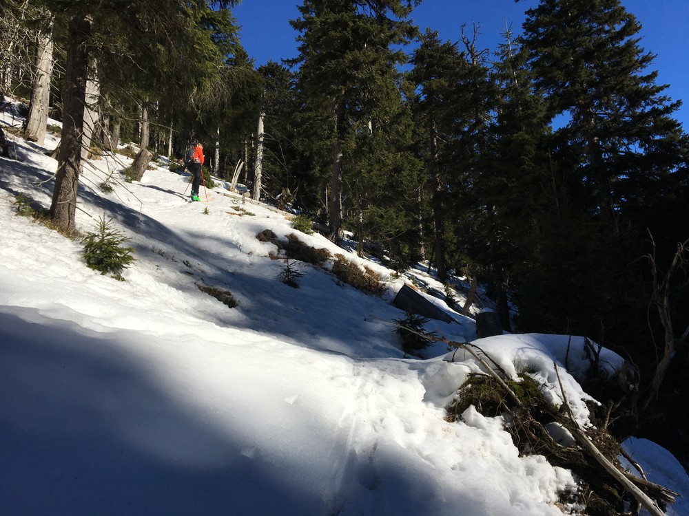 Ze Zámčiska stoupáme podél Velkého Dědova potoka