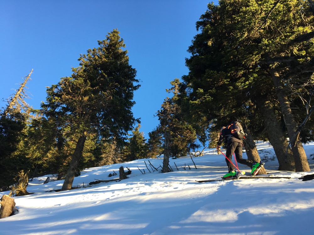 Stoupáme ze Sviního žlebu