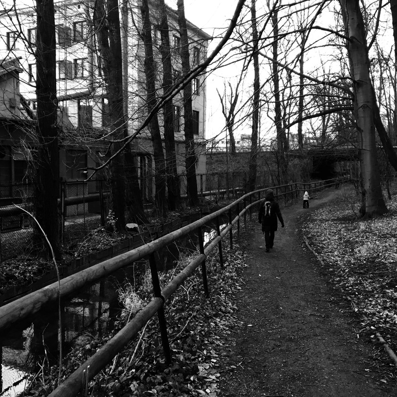 V Polském těšíně