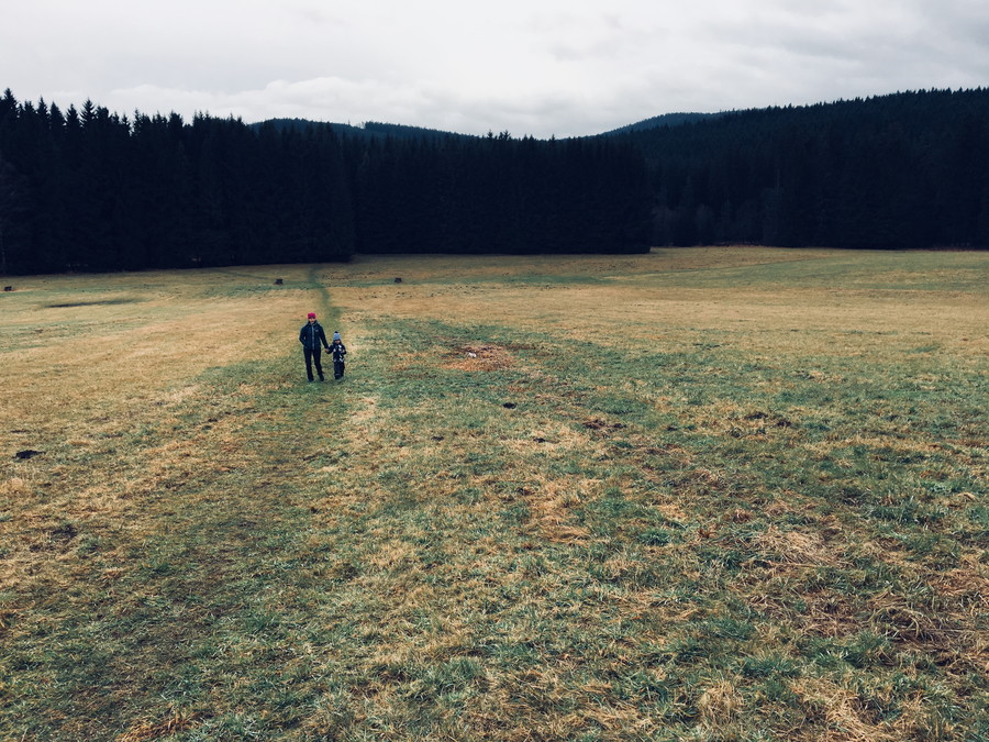 Vysočinské lóóóky