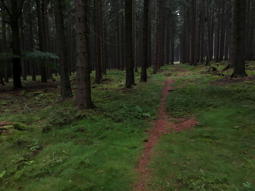 Jedna z nej běžeckých tras kolem Svratky